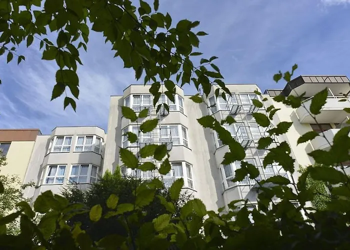 Amenity ホテル 3*